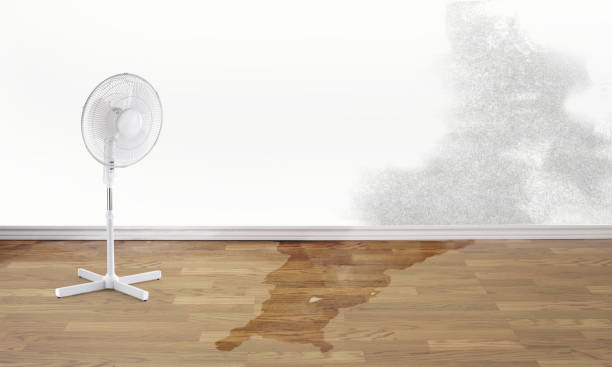Best Residential water damage restoration  in Raleigh, NC