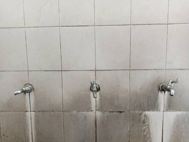 Best Flood damage cleanup  in Raleigh, NC